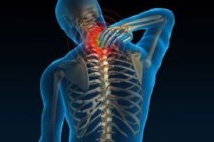 Cervical joint disease leads to pain in the neck